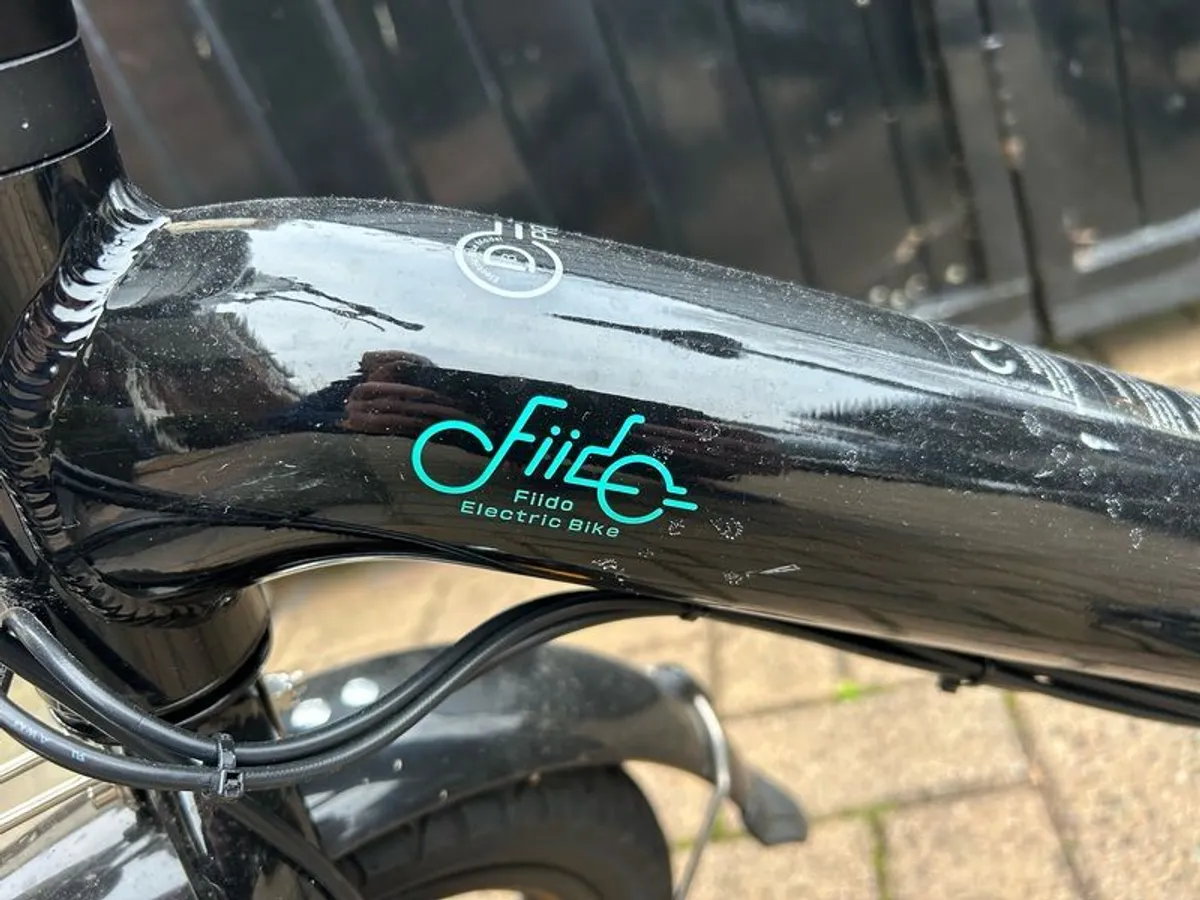 Fiido D3 Electric Bike - Image 3