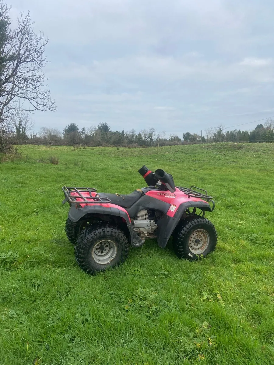Honda TRX 350 - Image 3