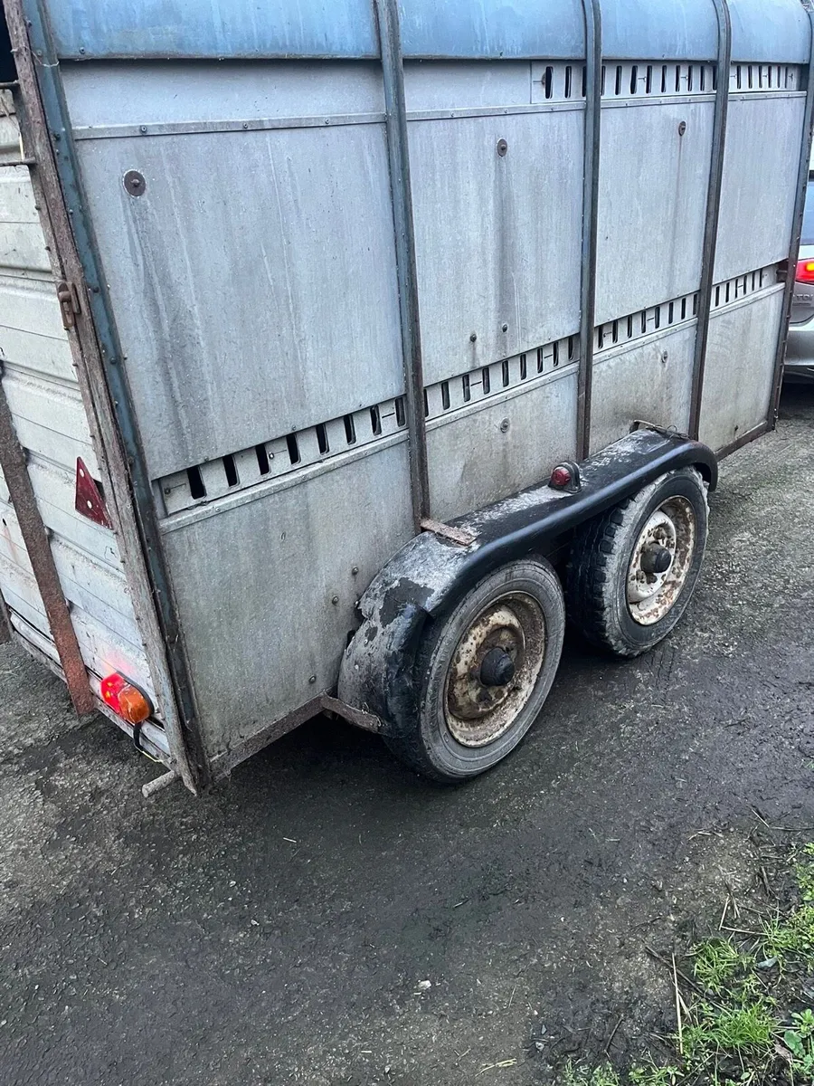 Cattle trailer - Image 3