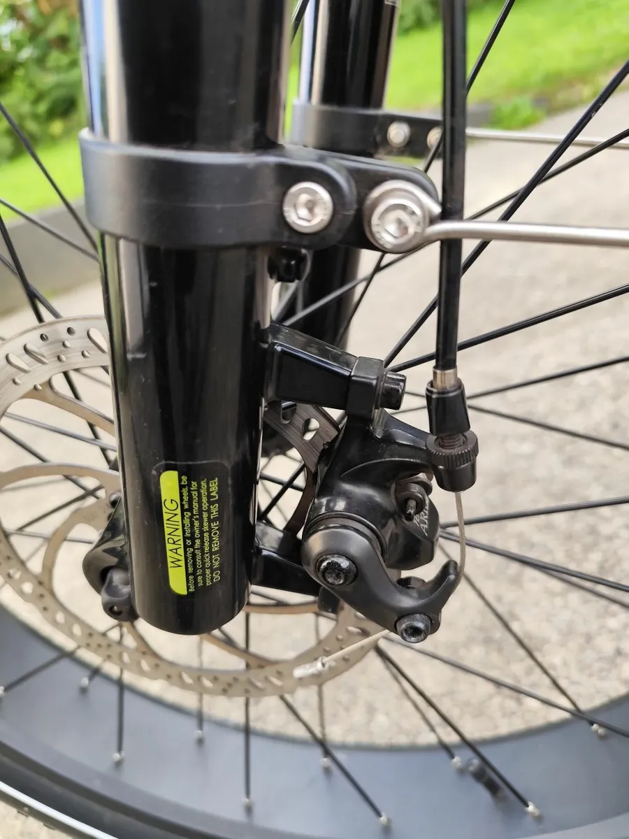 Electric Bike - Image 4