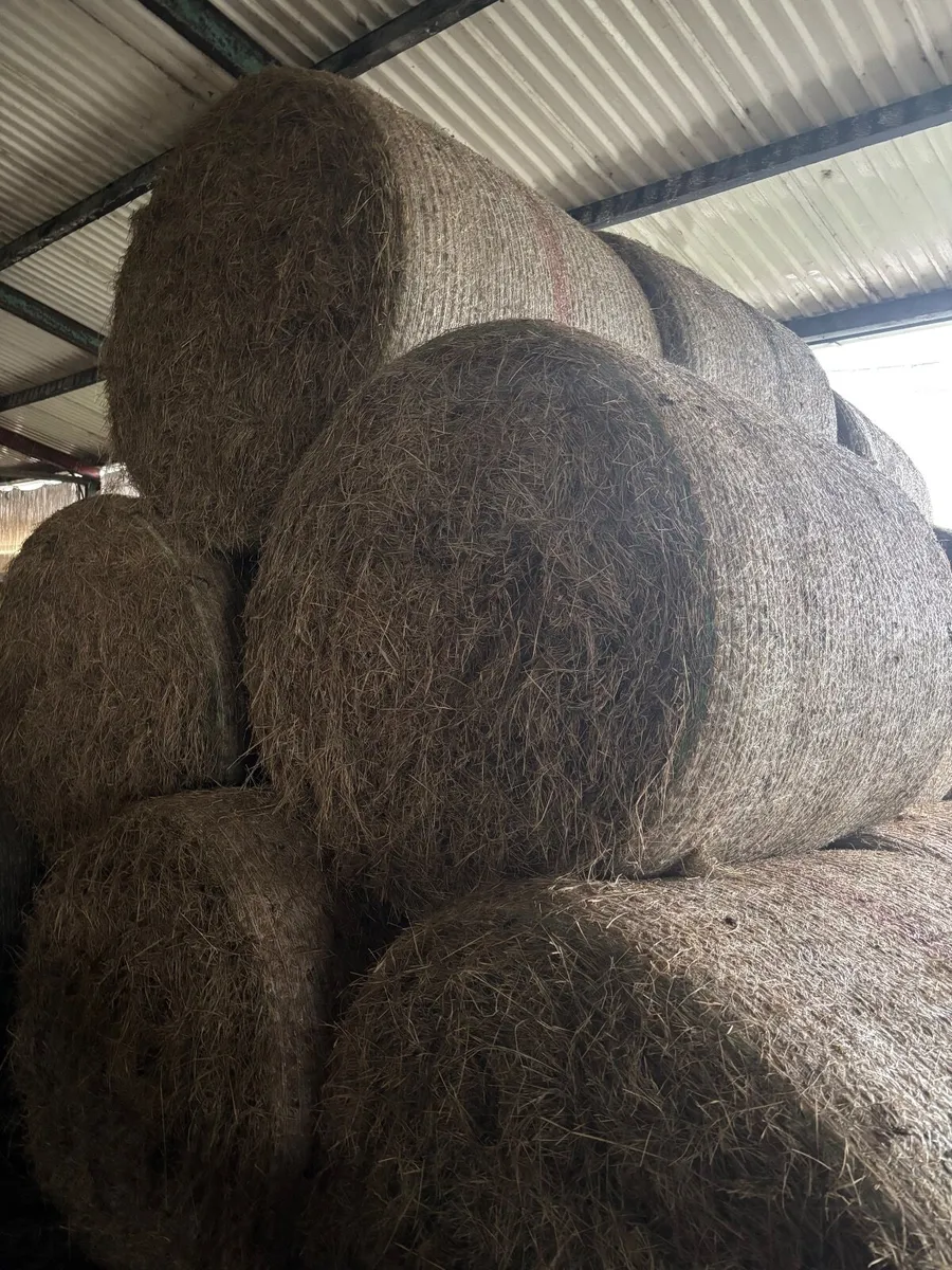 Silage & Hay Bales - Image 2