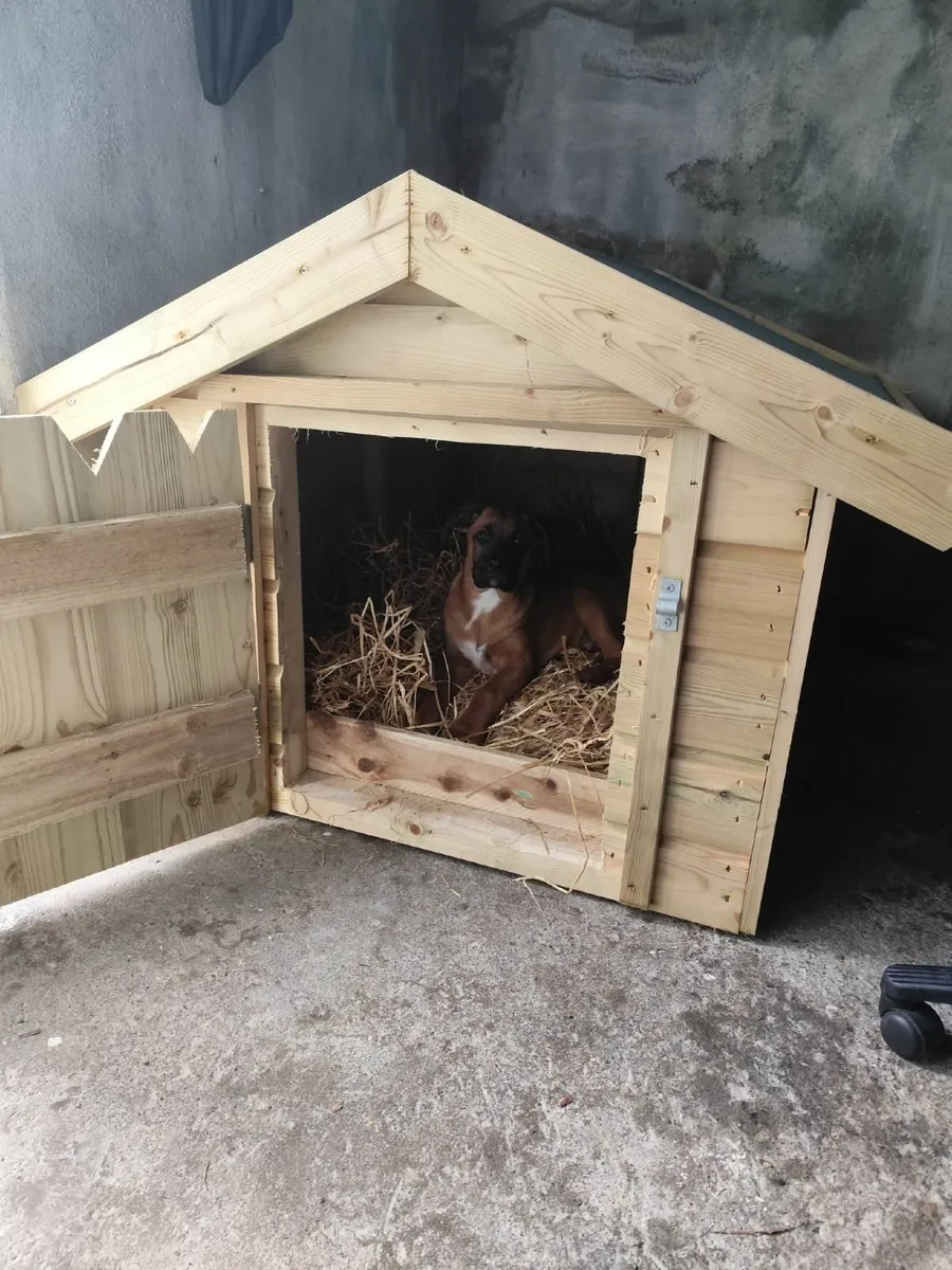 Dog kennel - Image 1