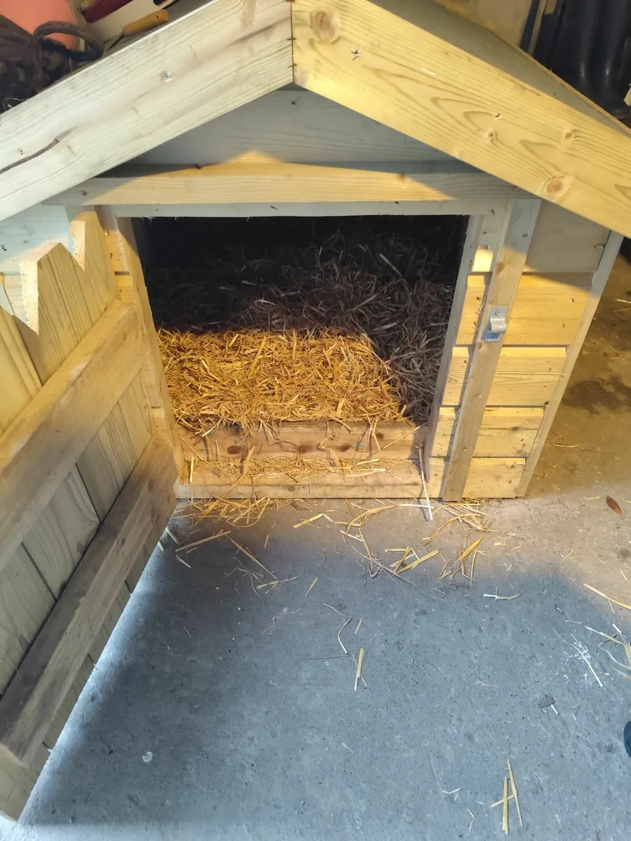 Dog kennel - Image 2