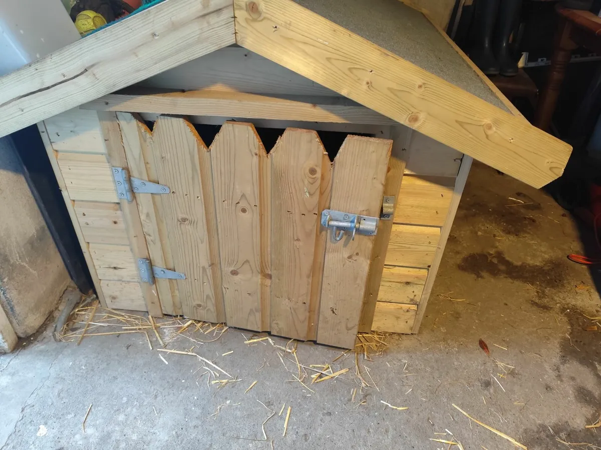 Dog kennel - Image 3