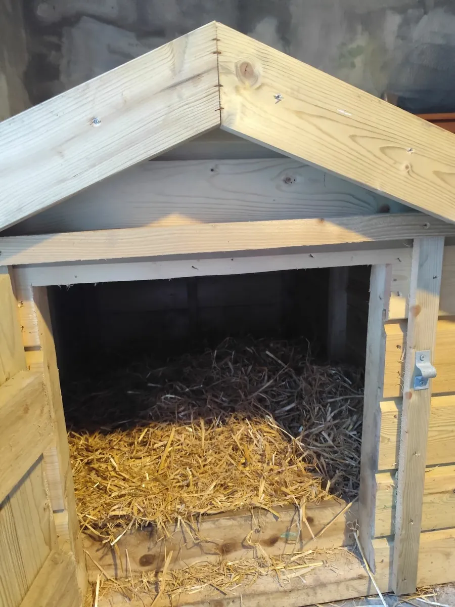 Dog kennel - Image 4
