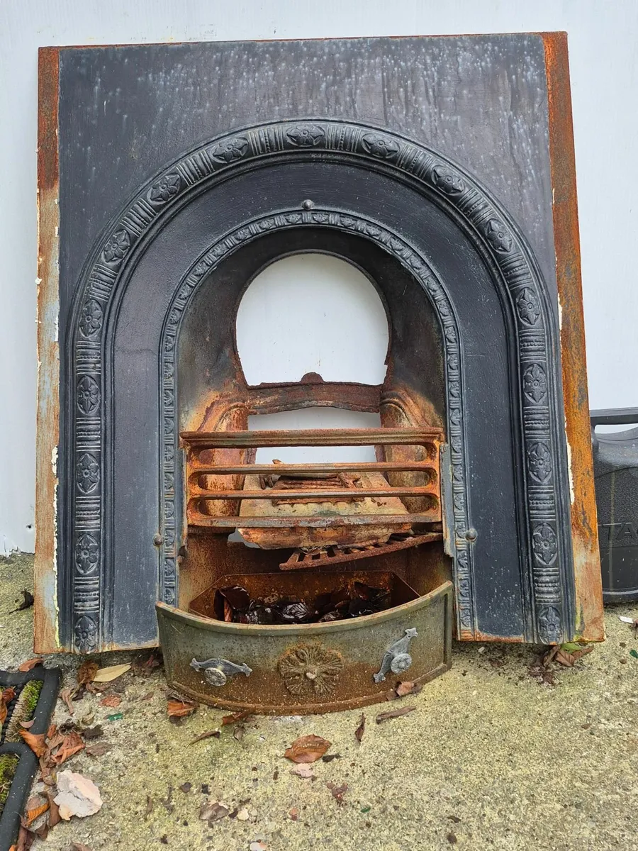horseshoe insert with firebox