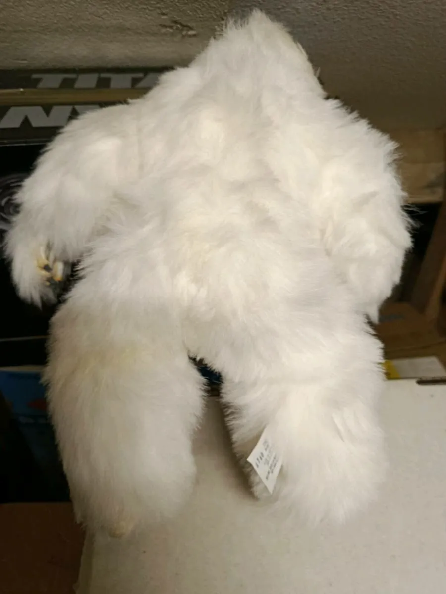 Wampa - Image 2