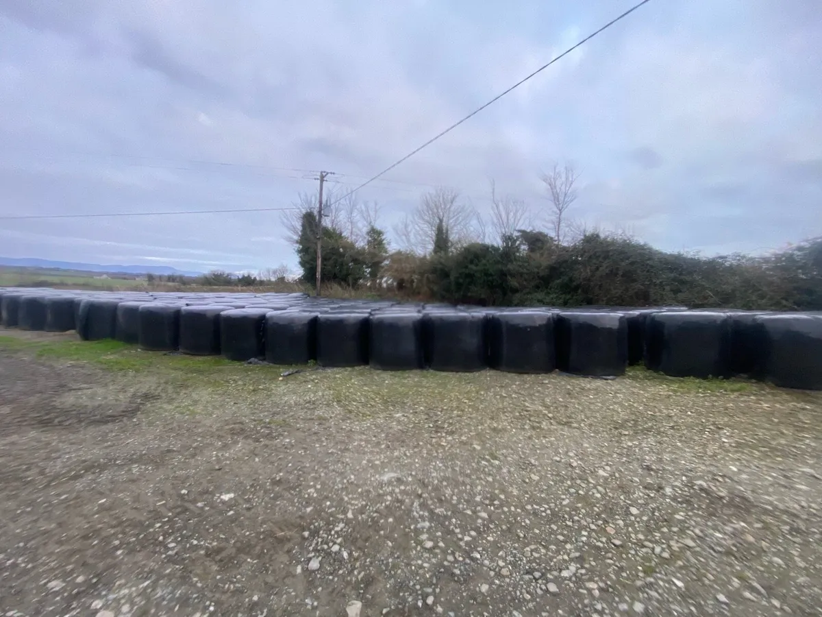 Silage bales - Image 1