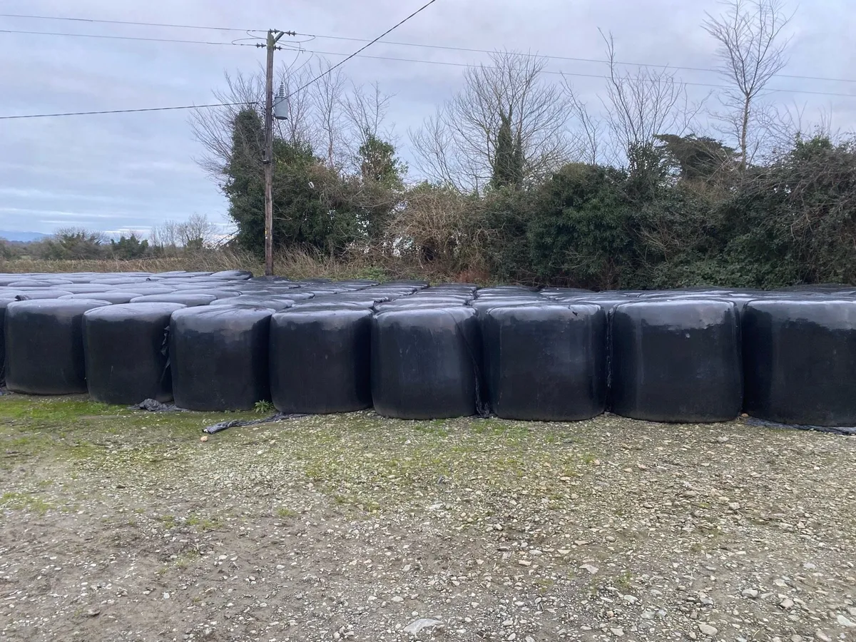 Silage bales - Image 2