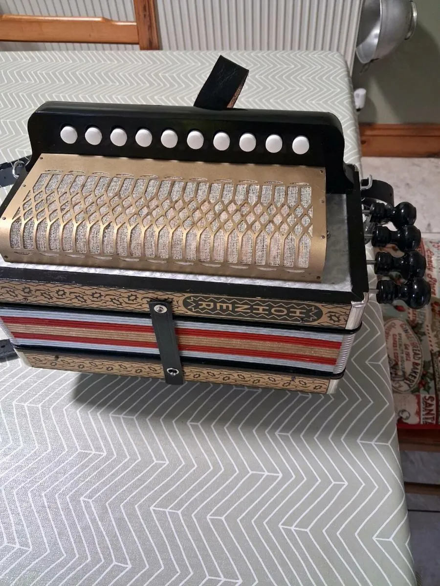 Accordion - Image 4