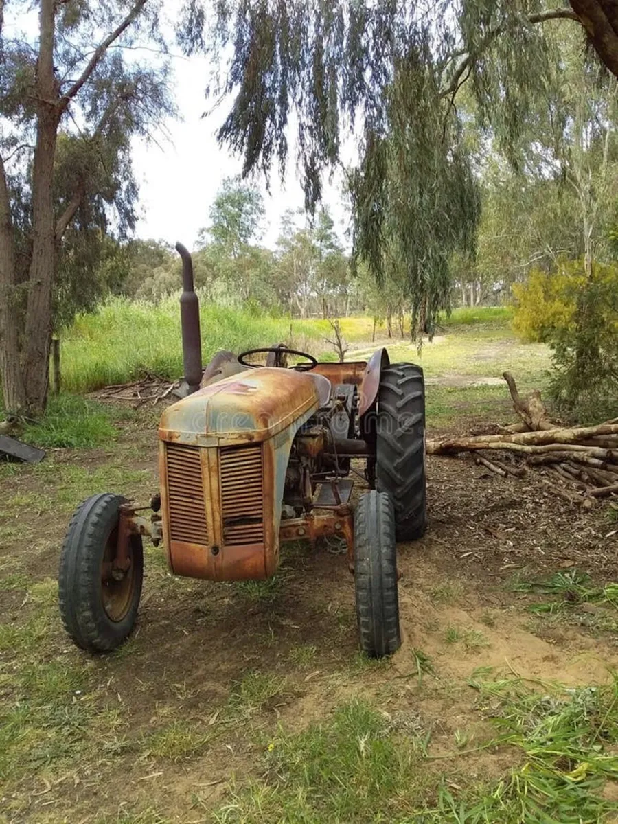 Wanted old tractors any condition - Image 1