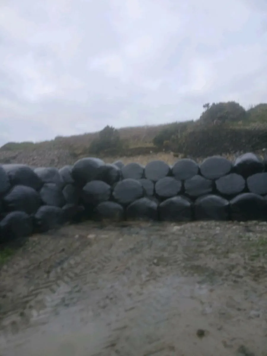 Silage bales - Image 1