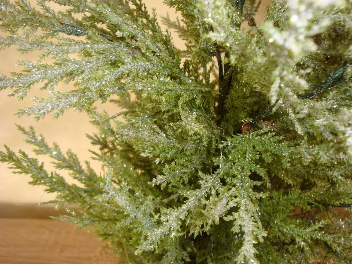 TableTop tree H77 Meadows & Byrne - Image 4