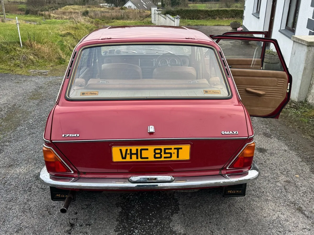 Austin Maxi - Image 4