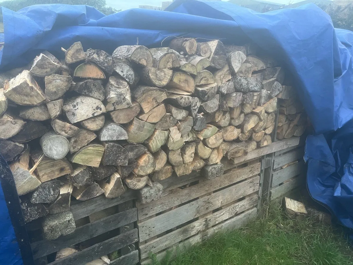 Firewood - Image 2