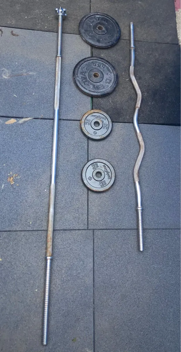 Old School Gym Equipment - Image 1