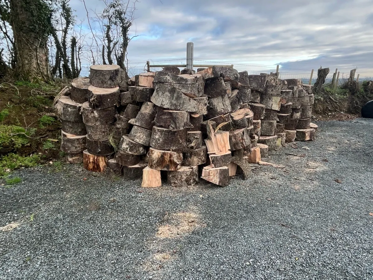Firewood - Image 1