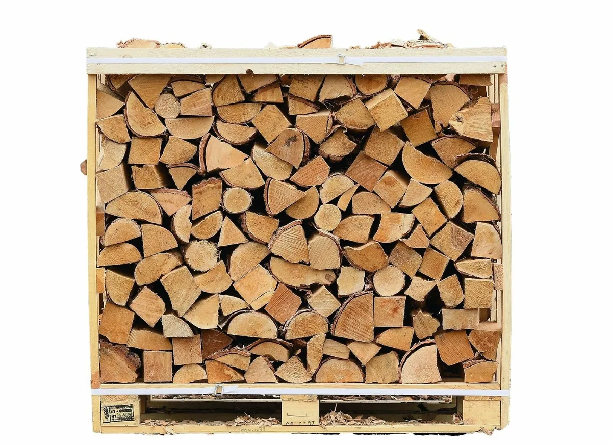 Firewood- 1 m3 kiln dried Birch firewood - Image 2