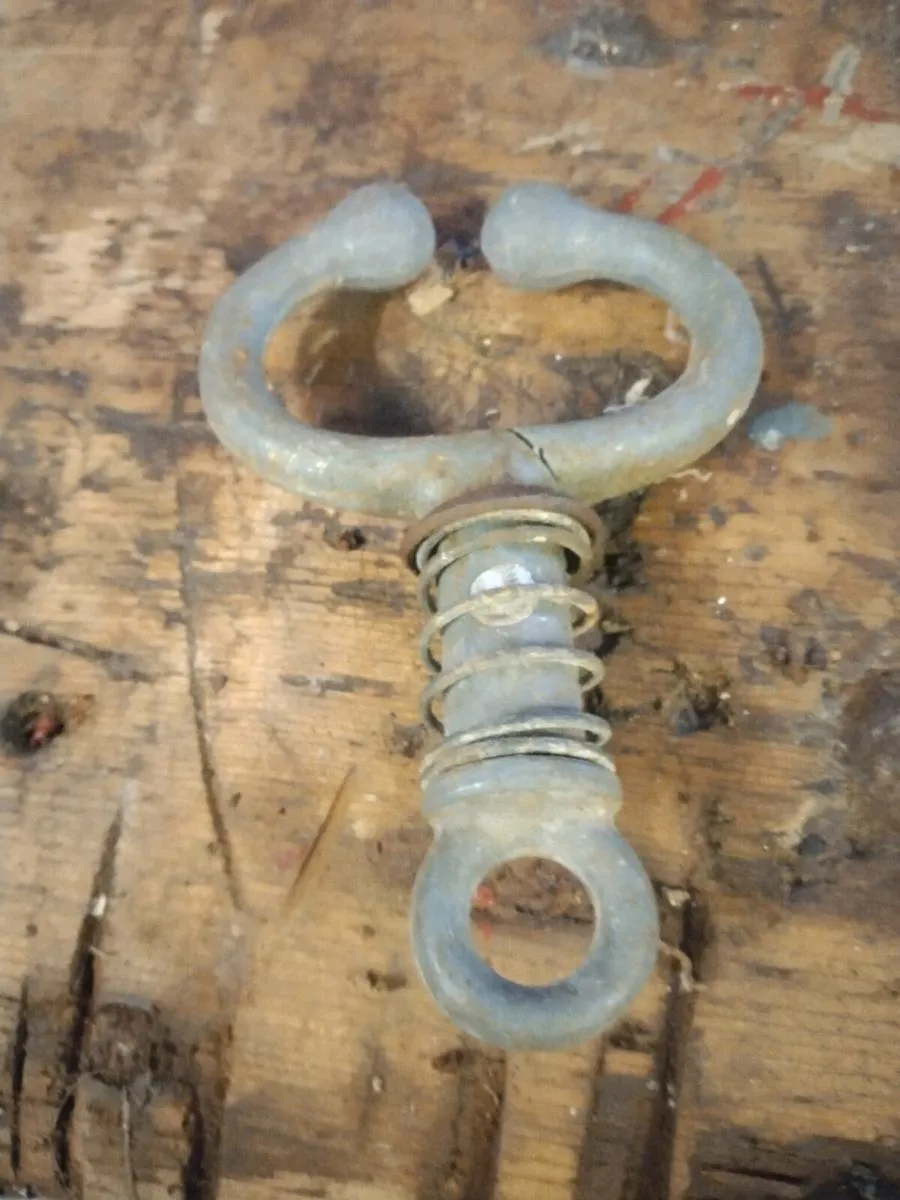 Vintage bull nose ring leader