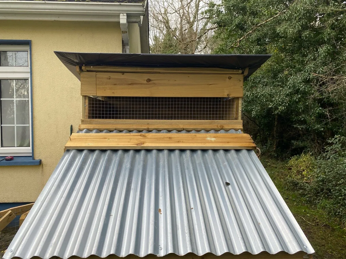 Chicken coop - Image 2