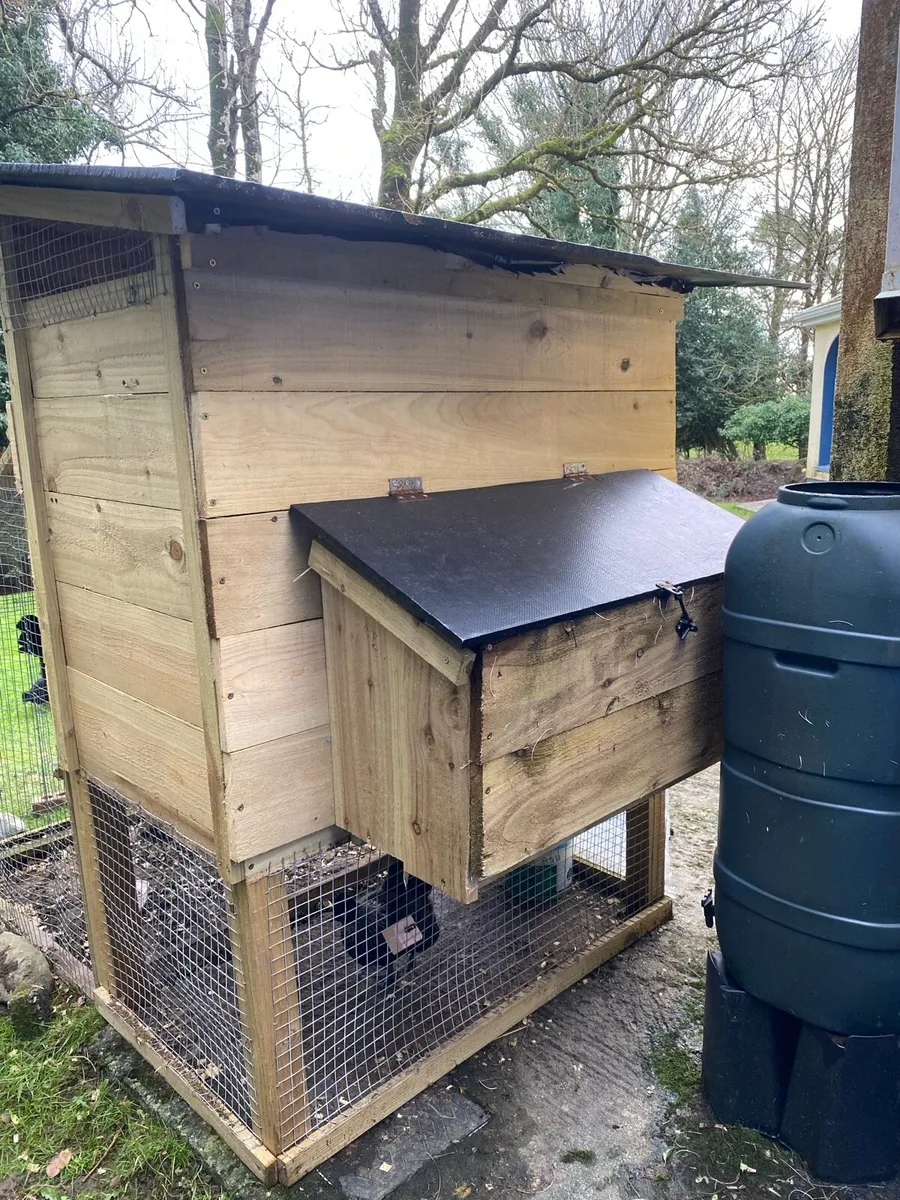 Chicken coop - Image 3