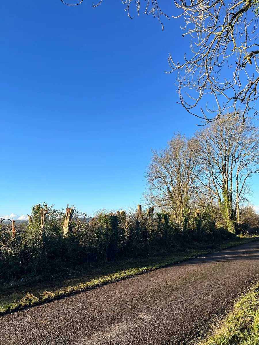 DIGGER HIRE - Image 3