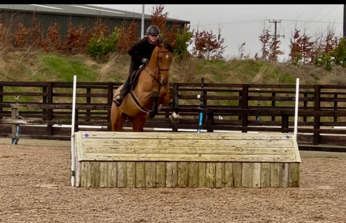 Good looking top event potential - Image 2