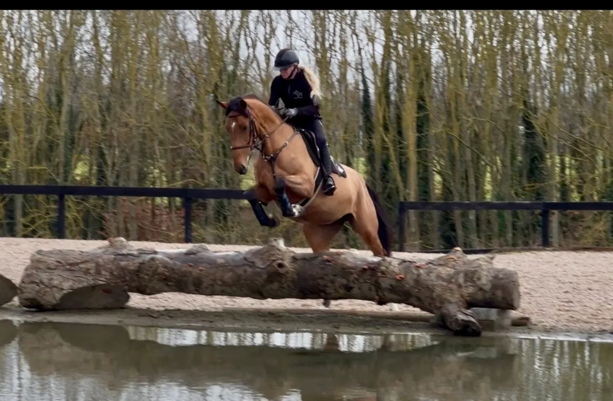 Good looking top event potential - Image 3