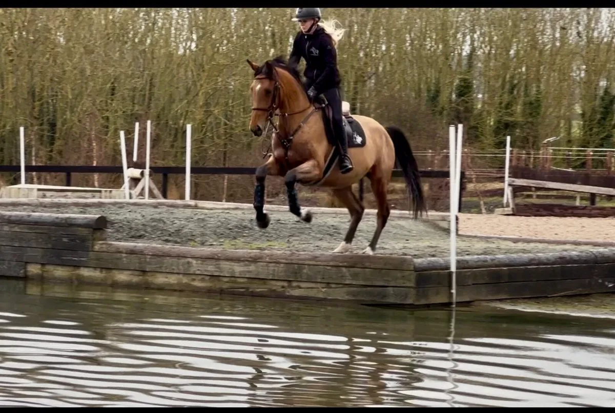 Good looking top event potential - Image 4