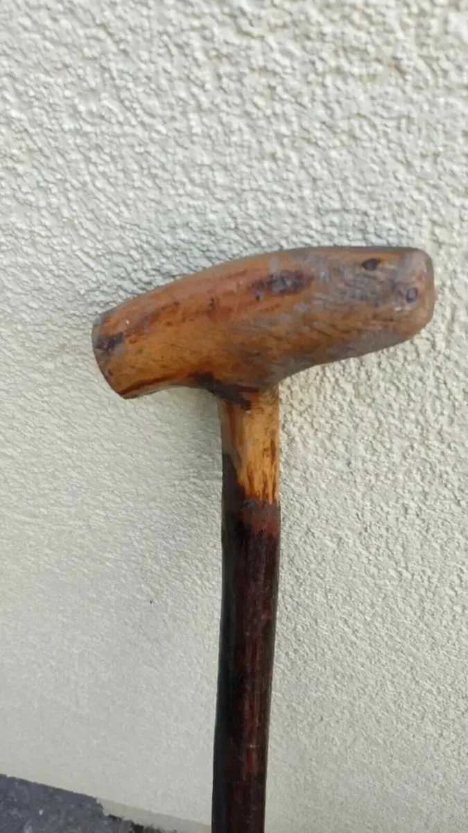 Blackthorn walking cane - Image 2