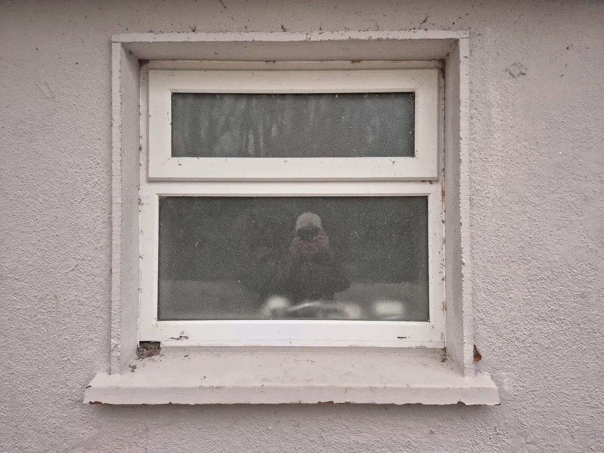 Windows and door - Image 2