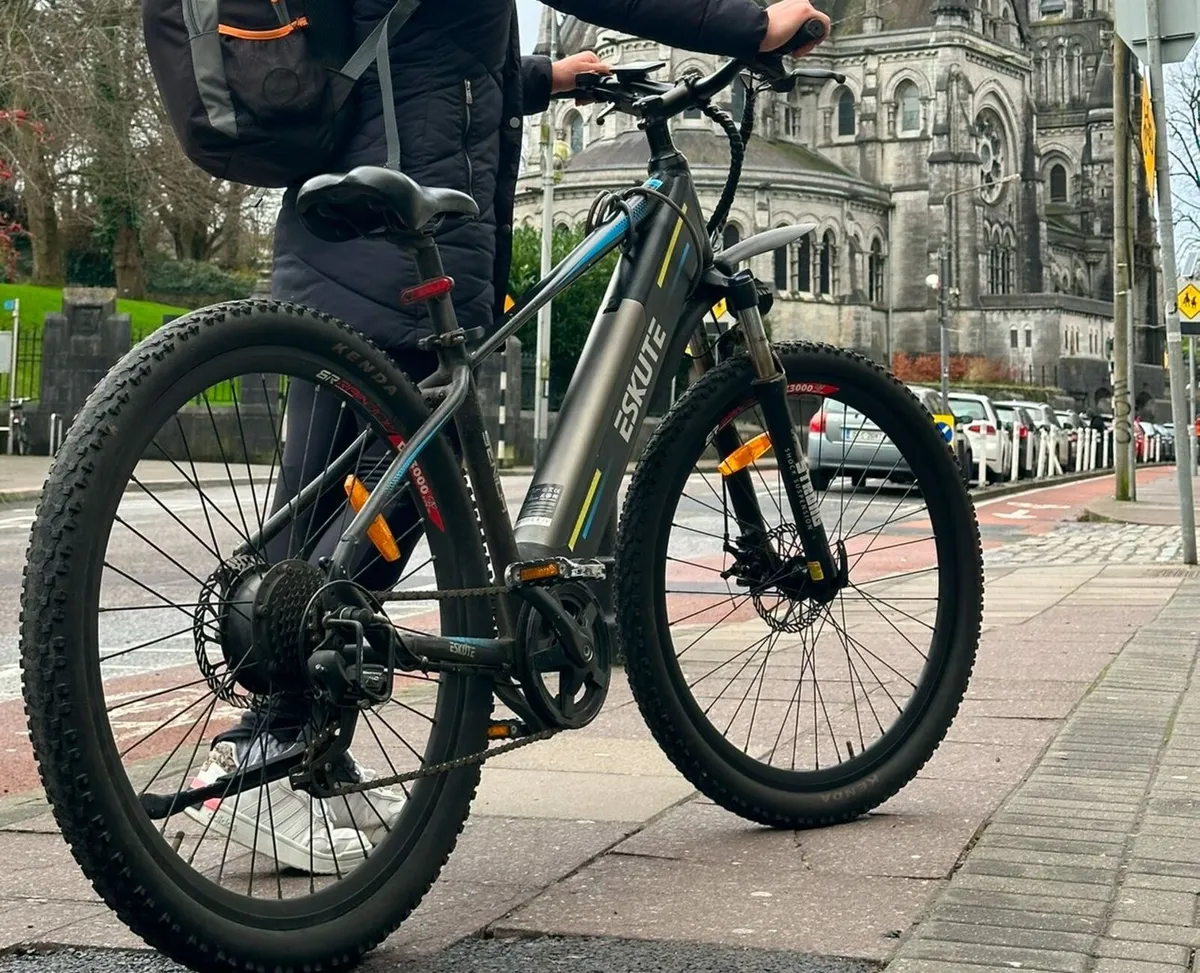Electric bike - Image 1