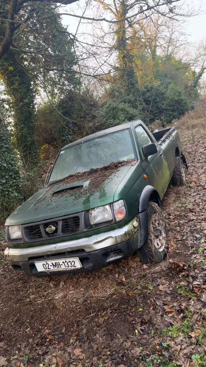 Nissan navara - Image 1