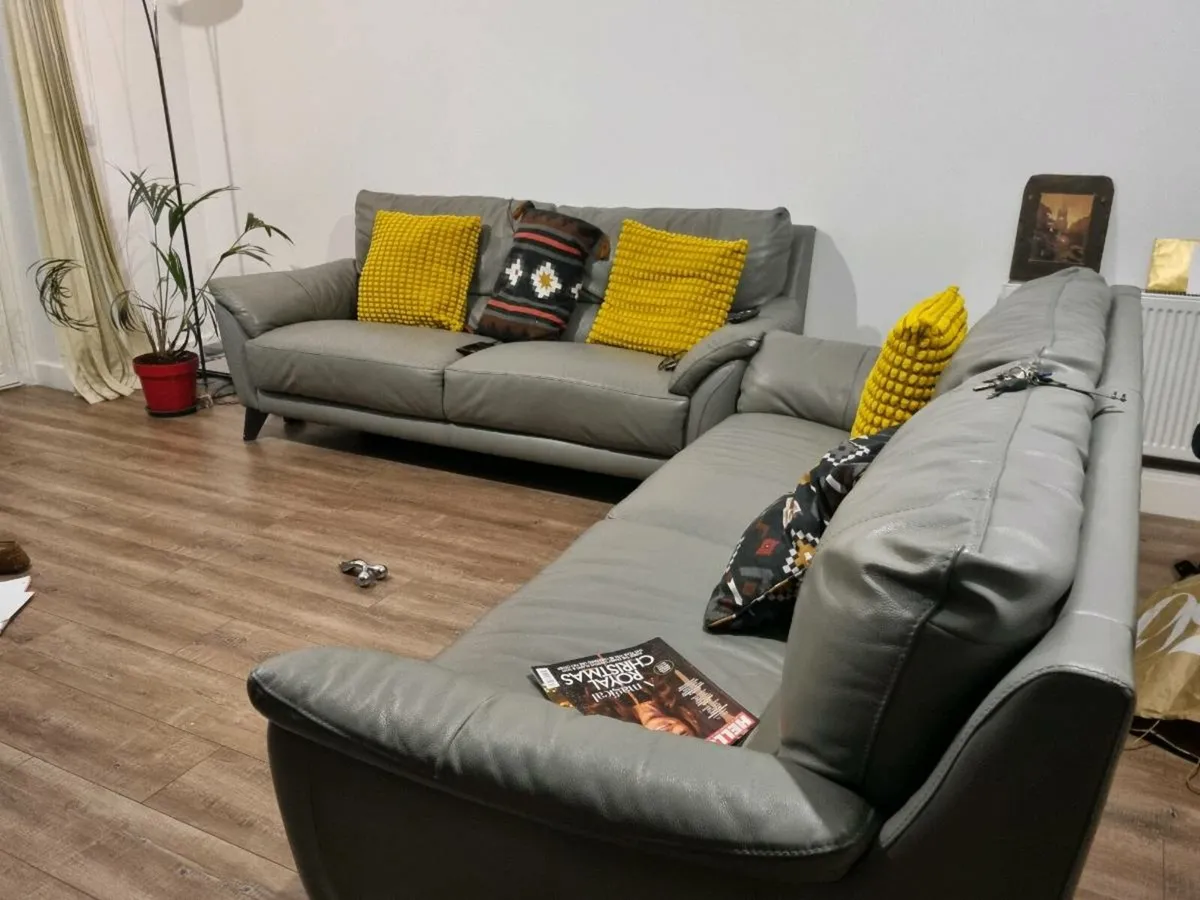 Leather sofas - Image 1