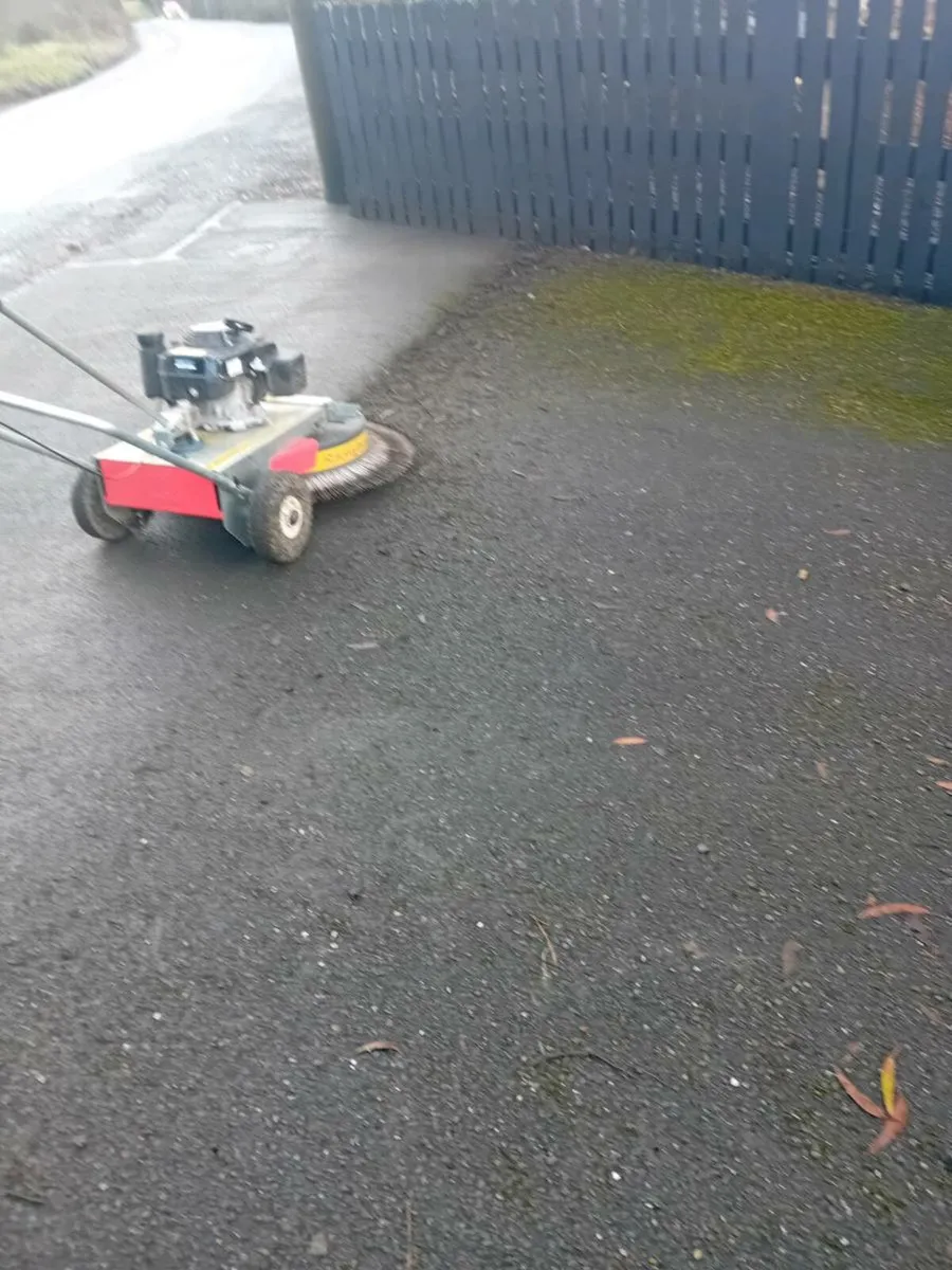 Moss removal services. - Image 2