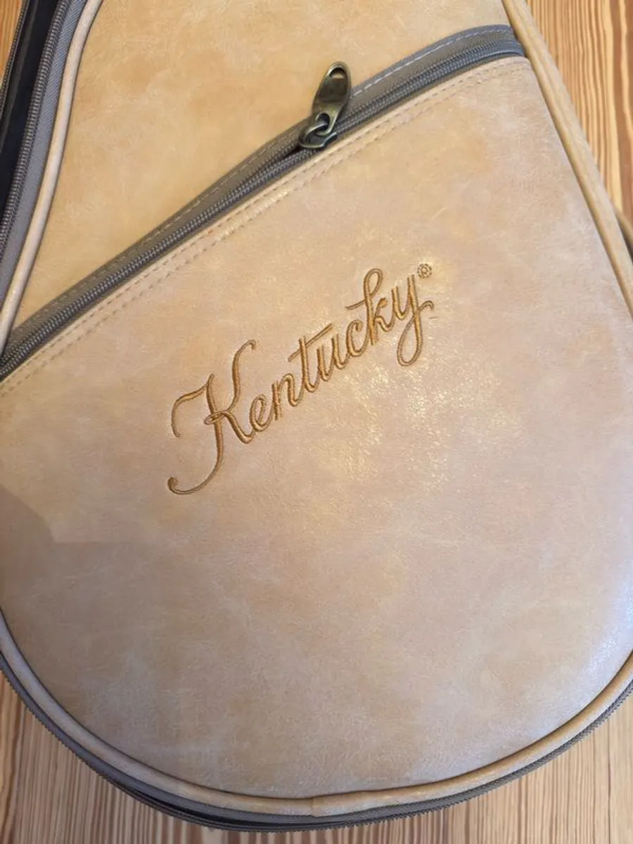 Kentucky Mandolin Bag/case - Image 1