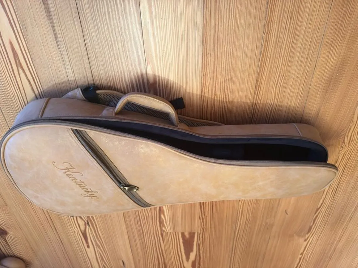 Kentucky Mandolin Bag/case - Image 3