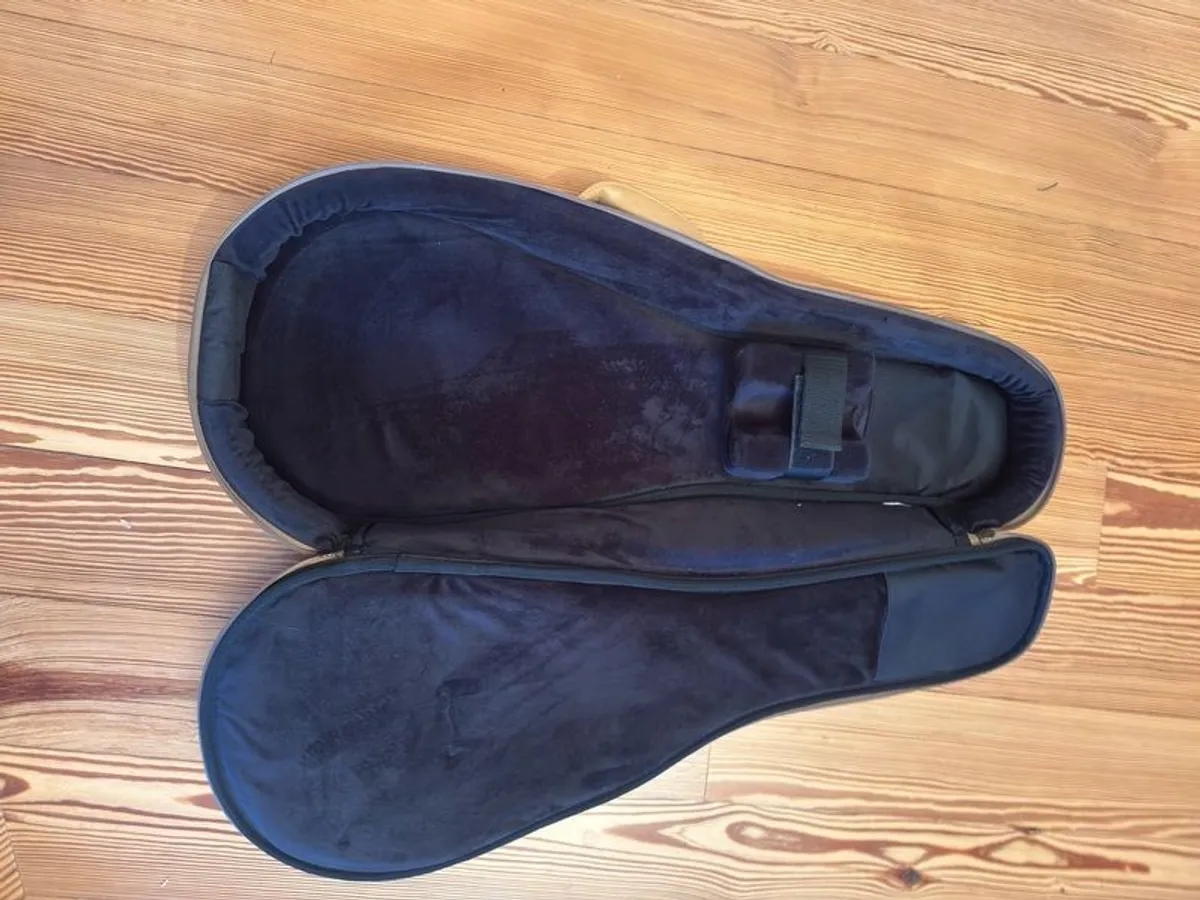 Kentucky Mandolin Bag/case - Image 4