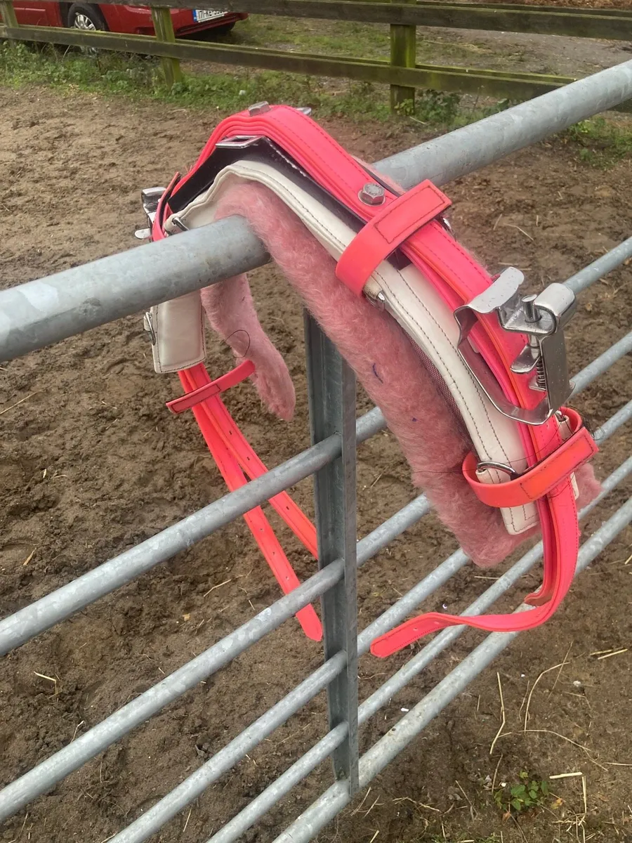 Pony size quick hitch pink/white 🐴 - Image 3