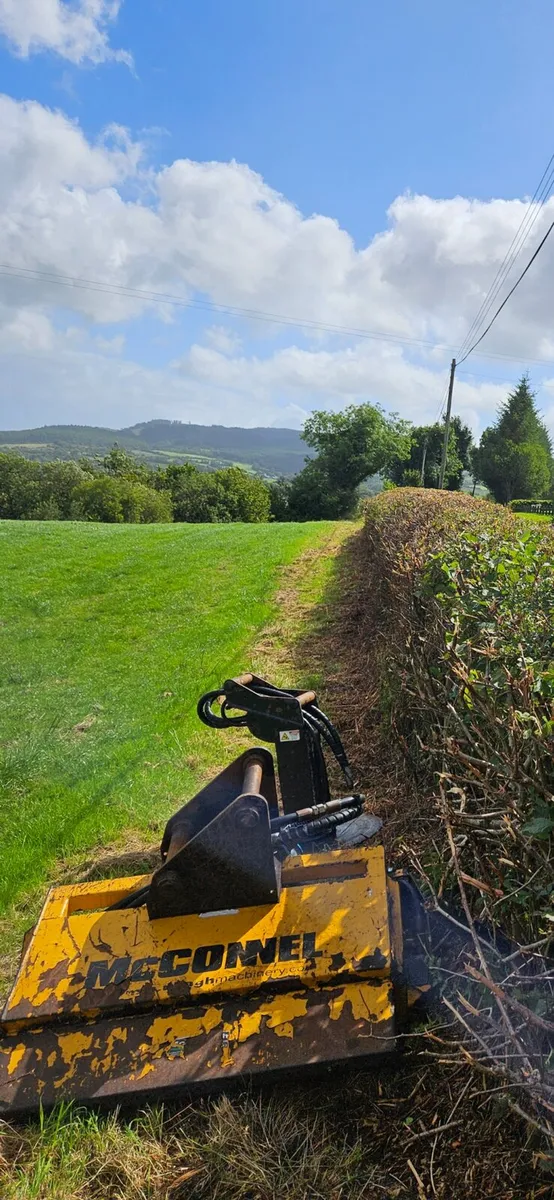 McConnell omaga head - Image 2