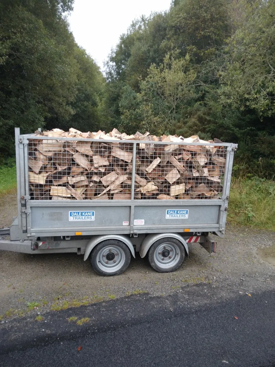 firewood - Image 1