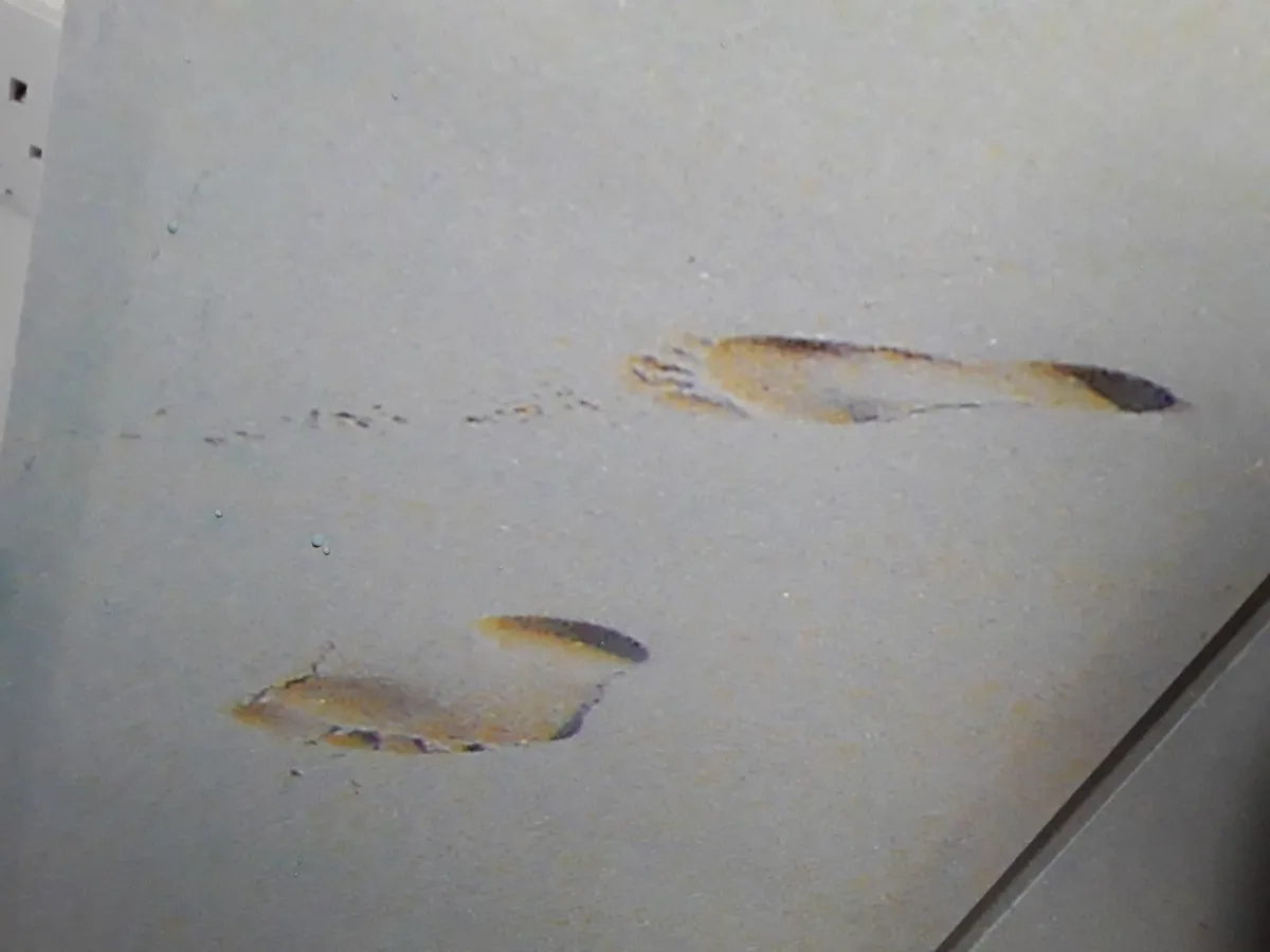 Lovely trip dish picture seascape - Image 4