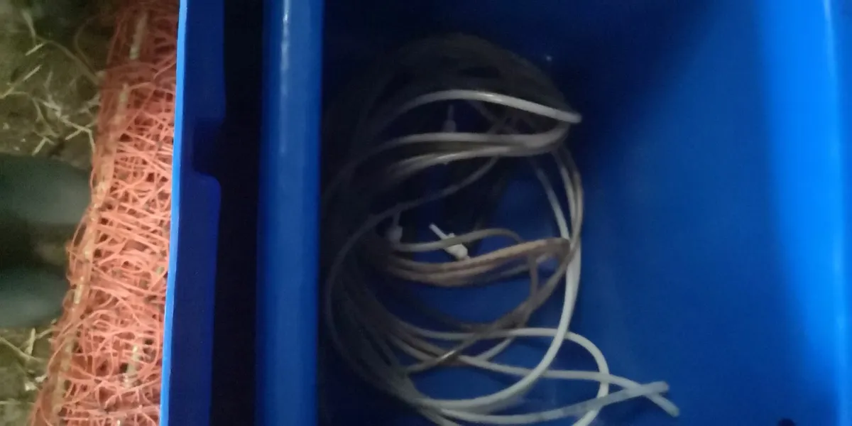 Automatic lamb feeder - Image 3