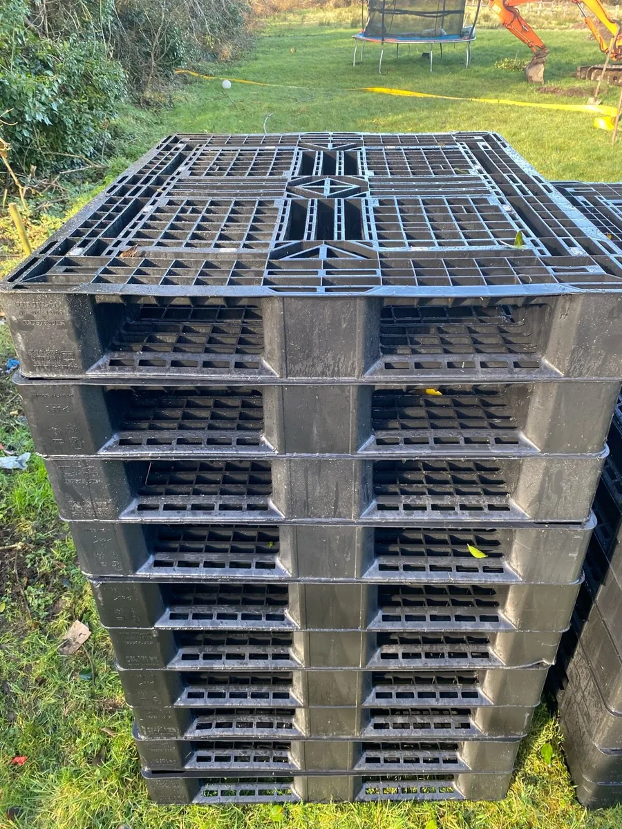 Plastic pallets - Image 2