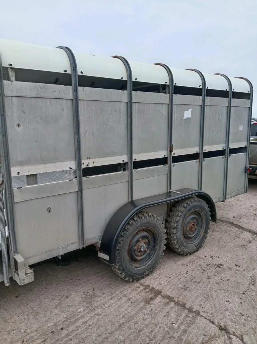 Ifor williams cattle trailer 6x12 - Image 3