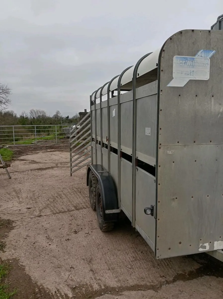 Ifor williams cattle trailer 6x12 - Image 4