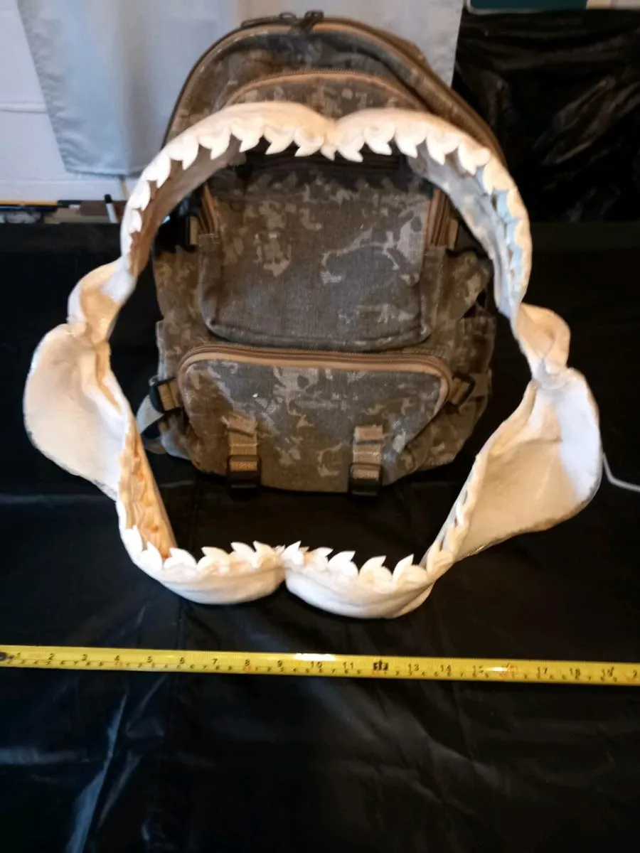 Tiger shark jaw 19 inches wide - Image 3