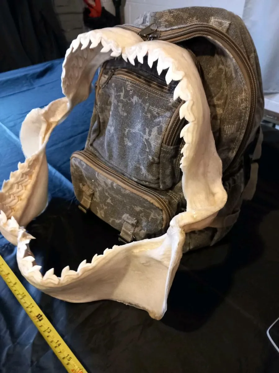 Tiger shark jaw 19 inches wide - Image 4