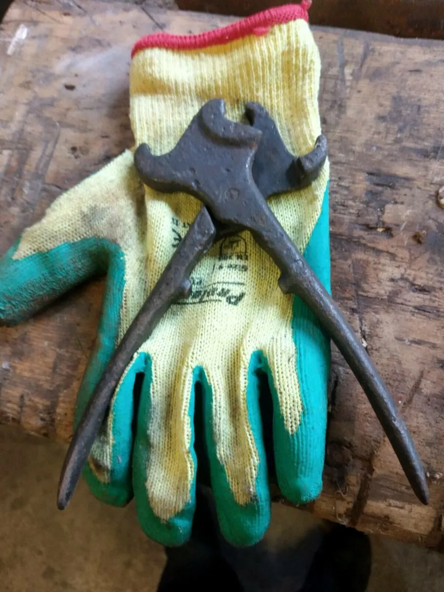 Antique Pig nose pliers - Image 2