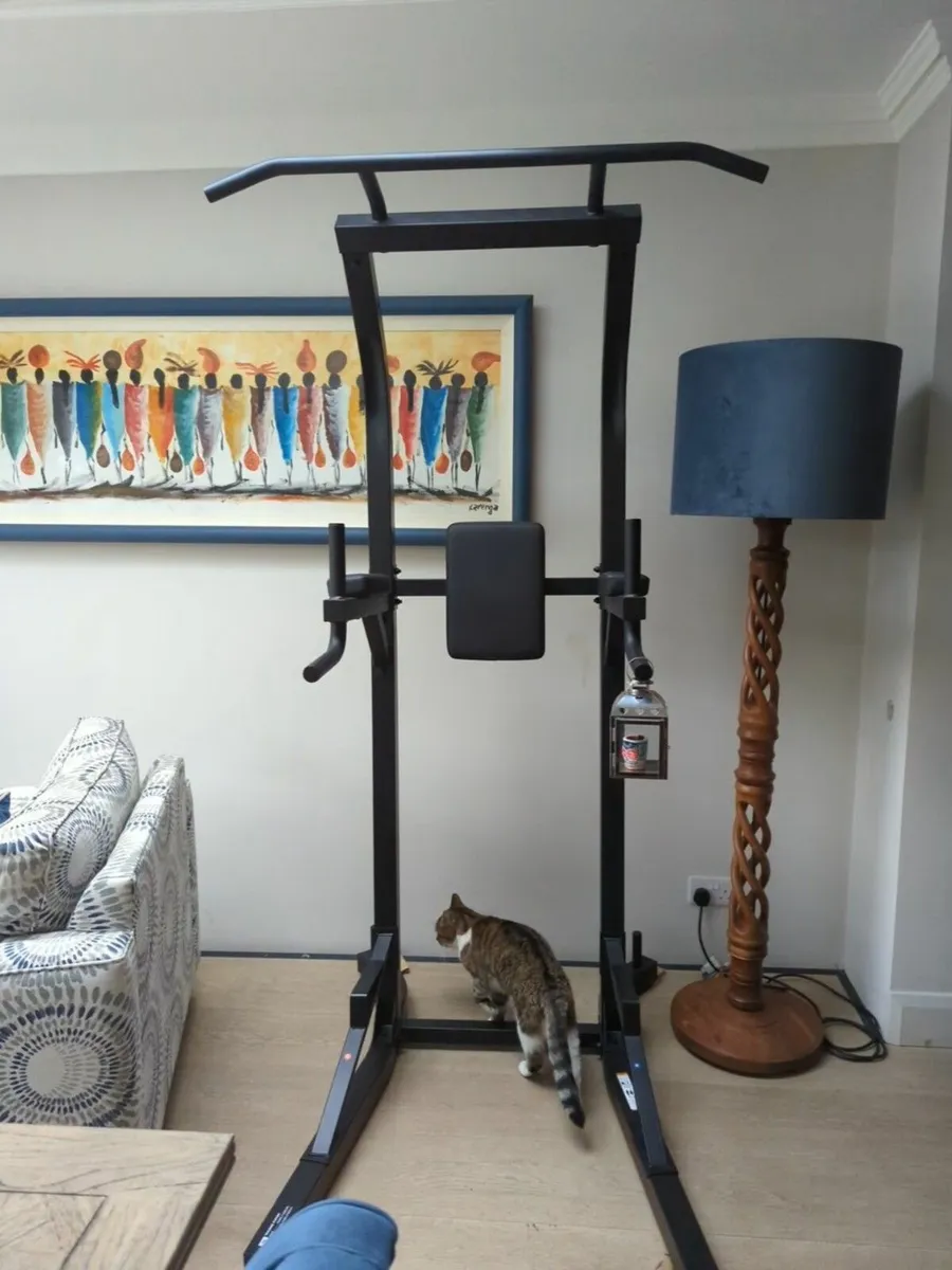 Roman weight training chair - Image 2